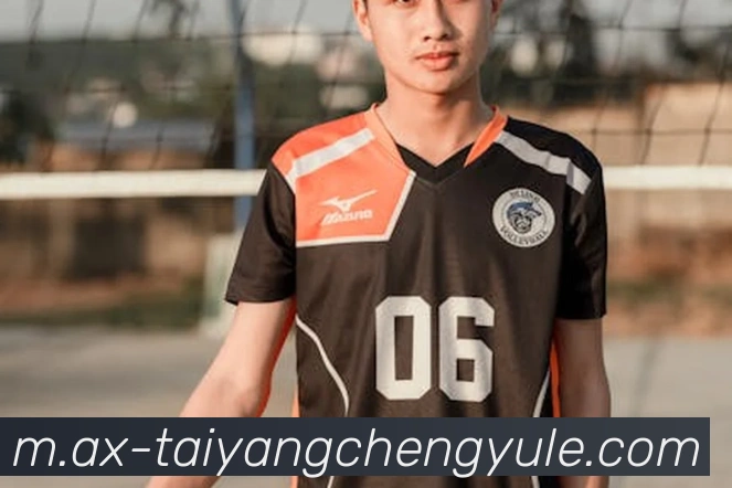 澳门太阳城网站平台生态图